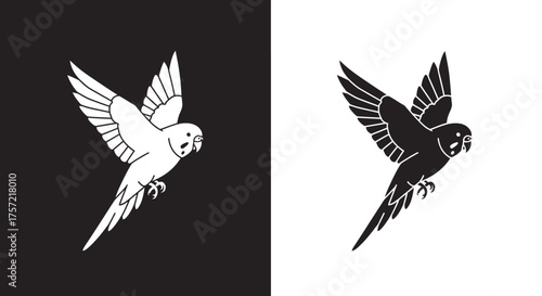 Monochrome graphic illustration of a flying budgerigar parrot.