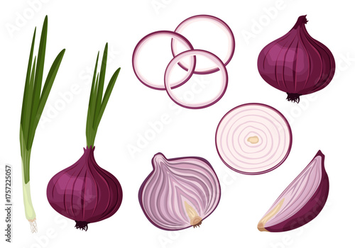 Onion in peel, half rings and onion ring, green onion. Organic food, vegetables. Vector set of onion illustrations on a white background.