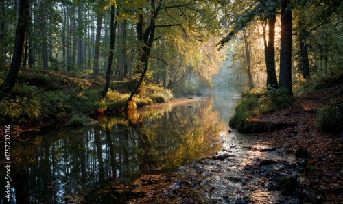 Serene Forest River Scene at Sunrise with Soft Morning Light