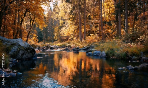 Serene Autumn Landscape with Reflections in Calm Forest Stream