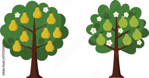 Pear tree illustration, fruit trees, green pears, yellow pears, blooming flowers, seasonal growth, agriculture concept, orchard harvest, gardening design, botanical artwork