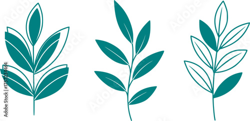 Abstract Botanical Silhouette Set with Geometric Lines. Minimalist Modern Art, Nature, Leaf, Decor, Organic Shape, Hand Drawn, Black Vector, Clean.