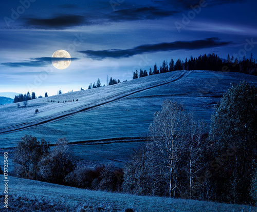 forest on grassy hill in autumn at night. beautiful rural scenery with rolling pasture. mountainous countryside in full moon light. warm october weather © Pellinni
