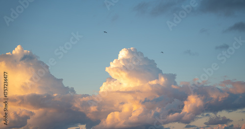 Dramatic sunset sky with massive cumulus clouds bathed in golden light and birds silhouetted against the blue atmosphere. Heavenly soft evening atmosphere