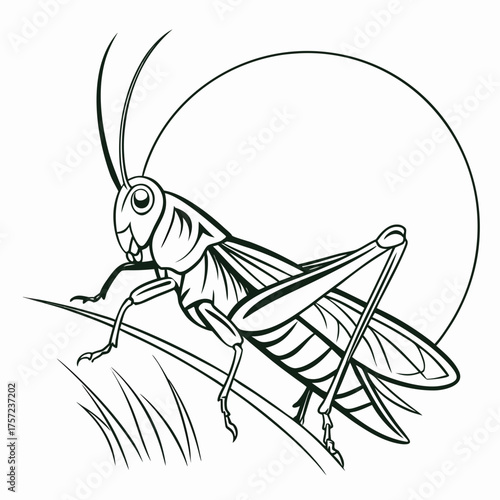 Stylized black and white grasshopper outline for coloring book page