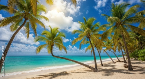 Fototapeta Naklejka Na Ścianę i Meble -  Tropical beach paradise with palm trees and turquoise ocean