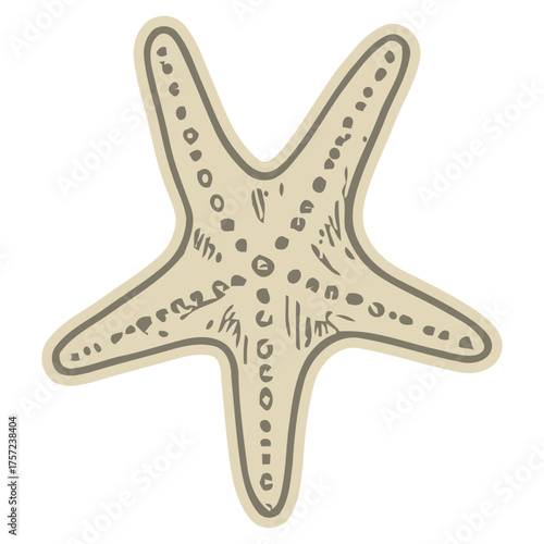 Illustration of a beige starfish with dark brown outline and dots.