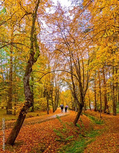 Autumn walking's in old public park with light drizzle