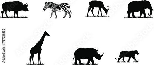 African wildlife animal silhouettes, buffalo zebra antelope elephant giraffe rhino lioness, savanna grassland vector, safari nature illustration design