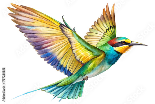 European Bee-Eater Vector with Open Wings watercolor