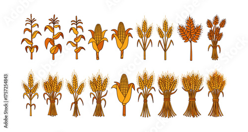 Colorful collection of corn and wheat plants in flat design style