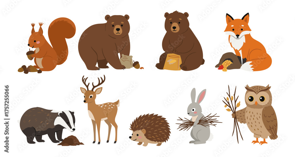 Fototapeta premium Forest animals collection with squirrel, bear, fox, deer, badger, hedgehog, rabbit, and owl