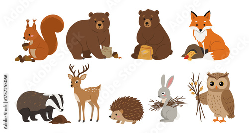 Forest animals collection with squirrel, bear, fox, deer, badger, hedgehog, rabbit, and owl
