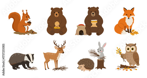 Cute woodland animals with autumn themes in flat design