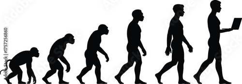 Human evolution silhouette, monkey to modern man, evolutionary stages vector, anthropology design, technology progress illustration, isolated black figure, science artwork