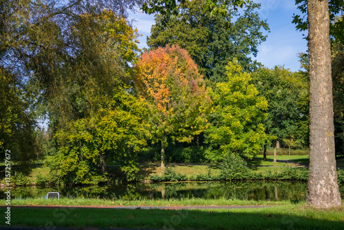 Slope green grass and trees in city urban park, Rijsterborgherpark or Singelplantsoen, Located near Deventer Station, Netherlands. High quality photo