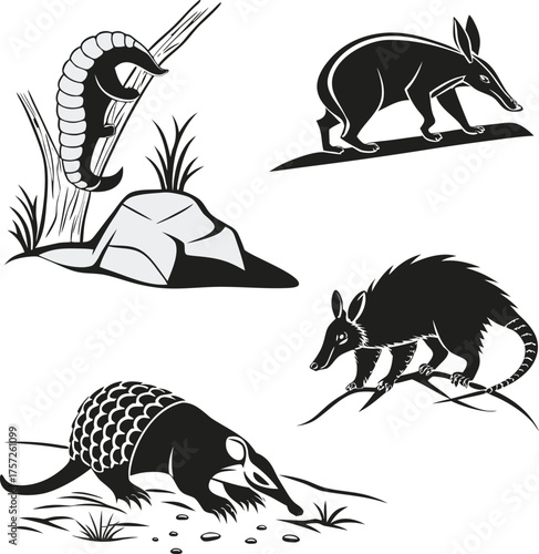 Aardvark Armadillo Pangolin Anteater Mammals Wild Animals Collection Set.