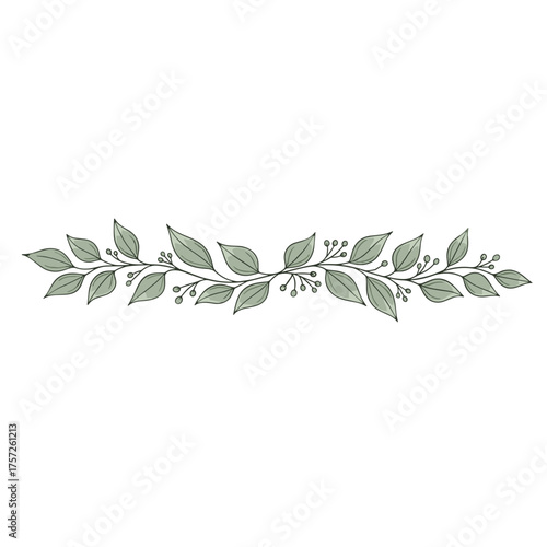 Botanical page divider in hand-drawn style with leaves and berries for nature-inspired designs