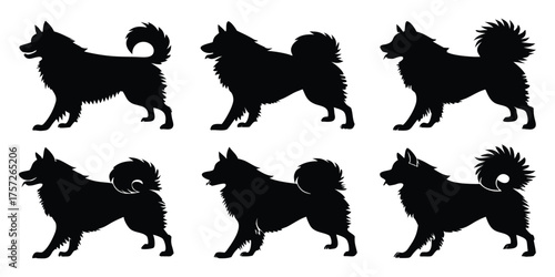 Collection of six black silhouettes of a spitz type dog in various poses