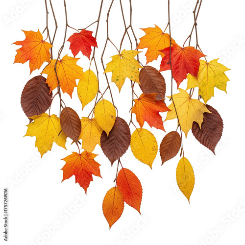 autumn leaves background