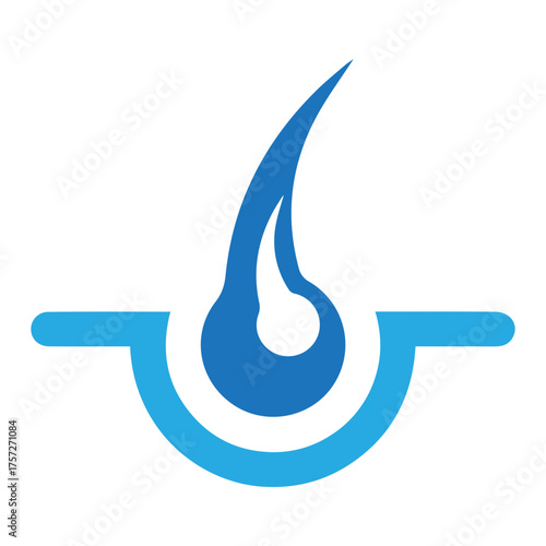 Healthy Hair Follicle