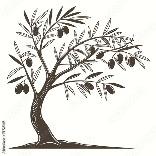 Stylized illustration of a mature olive tree with ripe olives and leaves