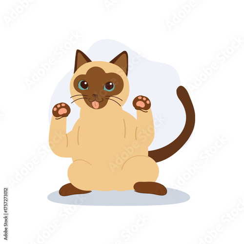 a cute siamese cat sitting playfully with paws raised and tongue out. for greeting cards posters stickers