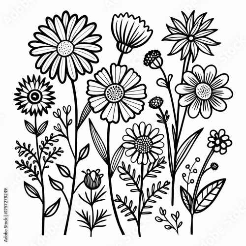 Hand-drawn chamomile flowers and botanical elements vector illustration set scalable art