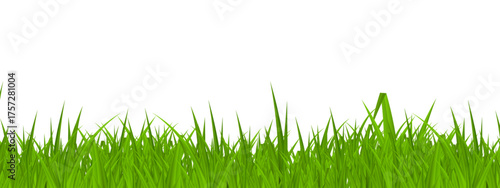 Green Grass cut out. green grass isolated on white background. vector illustration of an abstract background, green grass background, vector illustration of a tree