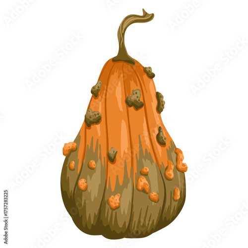 Decorative warty pumpkin with orange and green bumpy surface isolated on white background. Vector hand drawn illustration for autumn design, harvest decoration, stickers, packaging