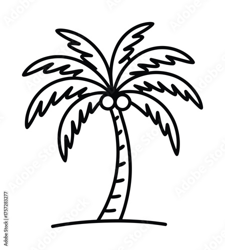 Palm Tree Outline Vector for Tropical Beach and Summer