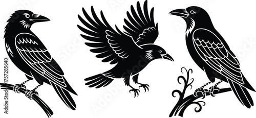 Three black crows perched on branches, one in flight.