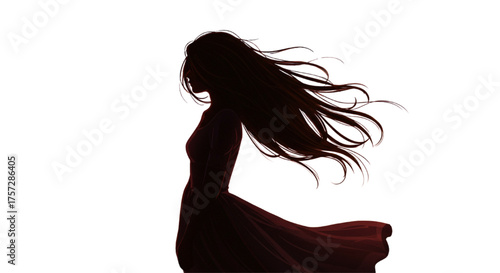Woman Silhouette with Long Flowing Hair and Dress