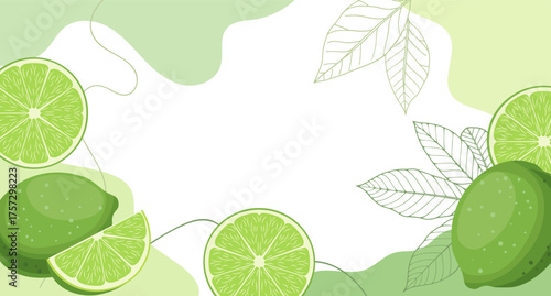 Citrus background with limes and leaves. Abstract tropical fruit background.