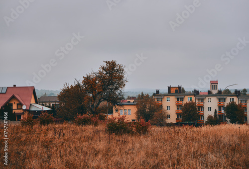 Fotografi łaka ,jessie