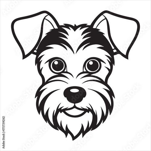 A Characterful Wiry Haired Miniature Schnauzer Dog Portrait, Showcasing its Distinctive Bushy Eyebrows and Beard, a Loyal Hypoallergenic Terrier Breed Known for Vigilant Guard Dog Nature.