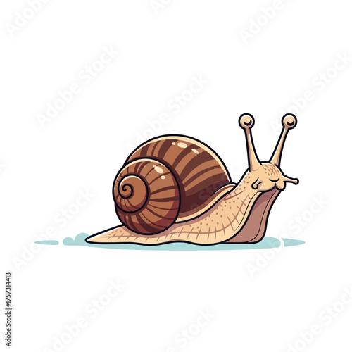 Cute snail with a brown shell on a white background.