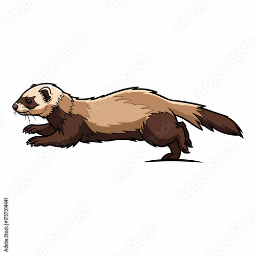 Ferret running with focus on the main subject in the image.