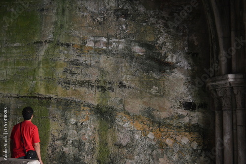 Man with his back turned, looking at a large wall covered in moss - Reflection, solitude, spaciousness, looking back at the past, looking toward future - Contrast between green wall and red clothes