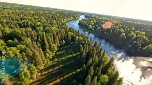 Aerial view of river flowing through green forest with sunlight reflection