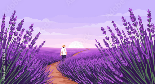 Person Walking Through Vibrant Lavender Field At Sunset Illustration