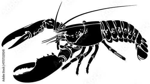 A detailed black and white illustration of a crustacean with large claws and segmented body