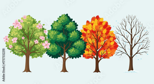 Four Seasons of a Tree Spring Bloom to Winter Bareness