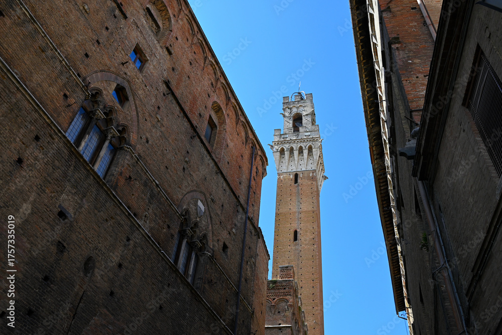 Fototapeta premium La Torre del Mangia vue d'une ruelle de Sienne