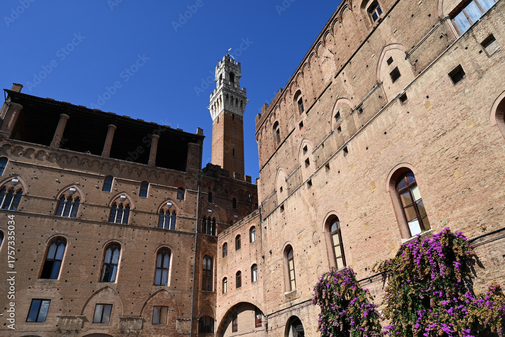 Fototapeta premium La Torre del Mangia vue de la place du marché de Sienne