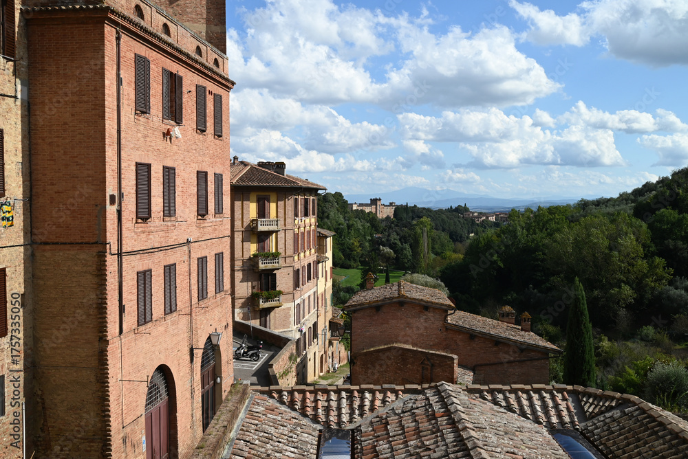Fototapeta premium Le Château des Quatre Tours vu de la ville de Sienne