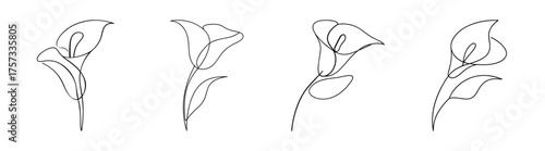 Elegant callalily flower line art collection subtle delicate botanical sketch for nature artistry design
