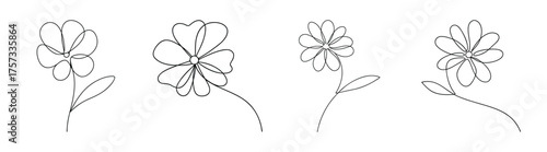 Delicate coreopsis flowers sketch detailed botanical line art petals and stems rendered with fine lines