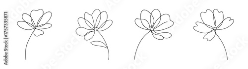 Four delicate line art renderings of cosmos flowers showcasing their intricate petal structures and slender stems