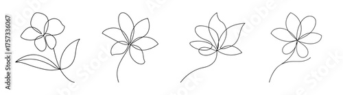 Delicate hand drawn jasmine flower line art collection set of four elegant botanical sketches